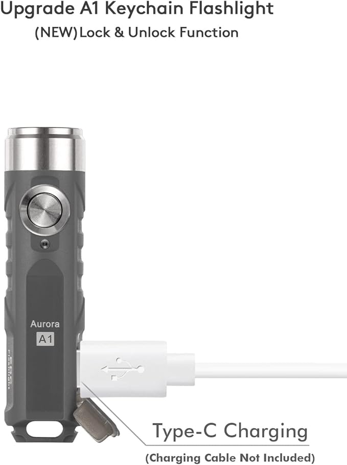 RovyVon Aurora A1 Keychain Flashlights, USB-C Rechargeable Max 650 High Lumens Super Bright with EDC Small Size, 5 Mode Easy Use with Clip,Waterproof,Perfect for Camping Emergencies Gift(Gray)