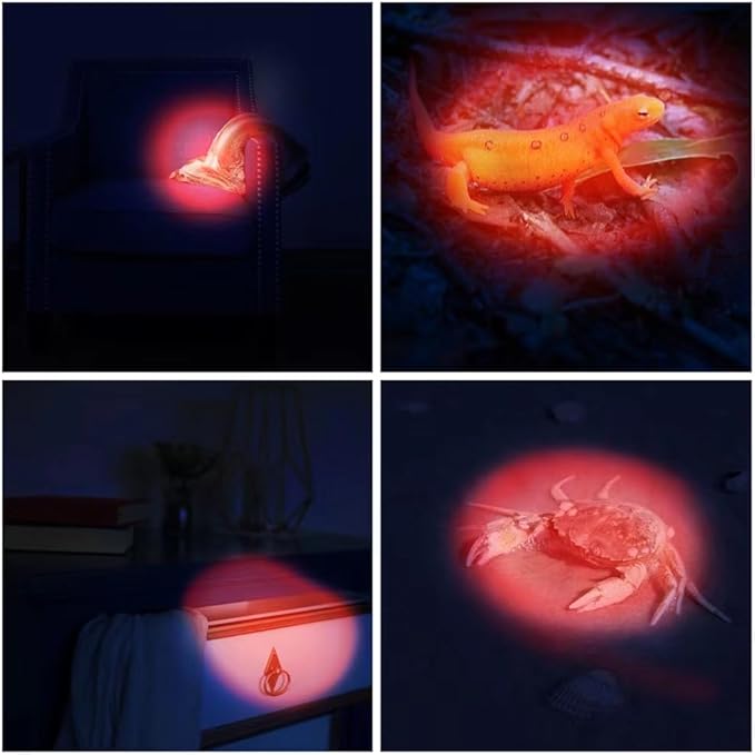 8 Pack Ultra Bright Red LED Keychain Flashlight, Mini Red Light Keychain Flashlight, Red Keychain Flashlight for Night Observation