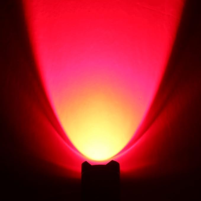 (Pack of 2 Red LED Flashlight, 3 Modes Red Flashlight, Red Light Flashlight Red LED Red Light Torch for Astronomy, Aviation, Night Observation-2PCS