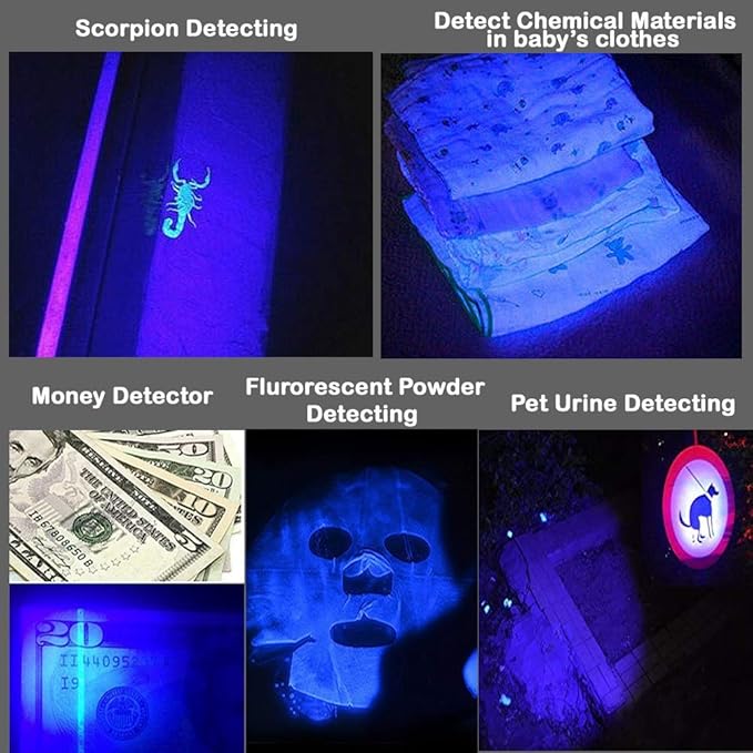 (Pack of 5 Multicolored Single Mode Flashlight: Red Light Flashlight, Blue Light Flashlight, Green Light Flashlight, 395 UV Light Flashlight, White LED Light Flashlight