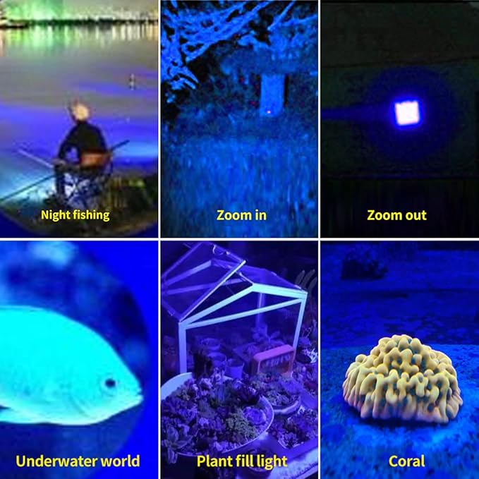 Two-in-one Flashlight with White Light and Blue Light,Blue Flashlight Rechargeable,Outdoors Zoom Blood Light for Observation Flashlight ,2 Modes.