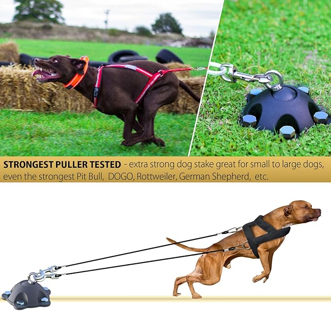 360° Swivel Dog Tie Out Anchor Stake With 5 Screw Anchors - Holds 1200lbs, Great for Dogs Up to 150lbs - Yard Leash and Anchor With Lifetime Replacement