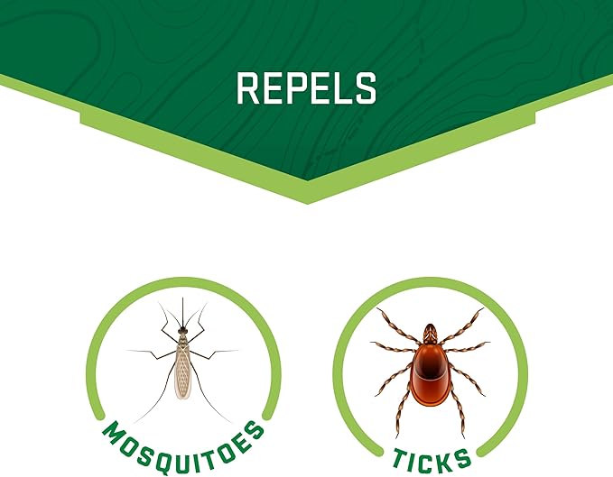 Repel Family Insect Repellent, Aerosol, 4 oz