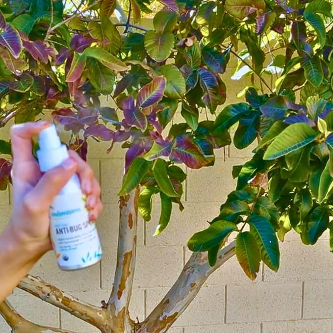 Anti-Bug Spray DEET-Free – Organic, 2-Pack All-Natural Bug Spray Made with Nourishing Essential Oils – Bug Repellent for Babies, Kids, Adults, Camping, & More by Mambino Organics, 8oz