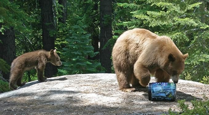 Bear Canister for Backpacking. 4 Sizes: BV500, BV475, BV450, BV425. Bear Resistant Food Container for Camping, Hiking, Fishing, Canoeing, Hunting, bikepacking. Bear Vault is Bear Safe!