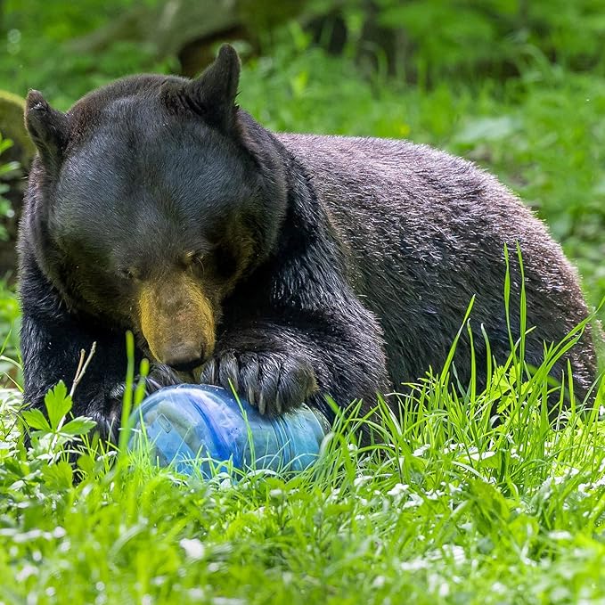 Bear Canister for Backpacking. 4 Sizes: BV500, BV475, BV450, BV425. Bear Resistant Food Container for Camping, Hiking, Fishing, Canoeing, Hunting, bikepacking. Bear Vault is Bear Safe!
