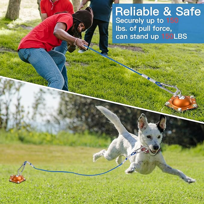 Dog Tie Out Cable and Stake, 360°Swivel Dog Anchor, with 30FT Heavy Duty Cable, Heavy Dog Stake for Yard Can Hold Up to 150 LBS Dogs for Park,Camping,Yard(Orange)