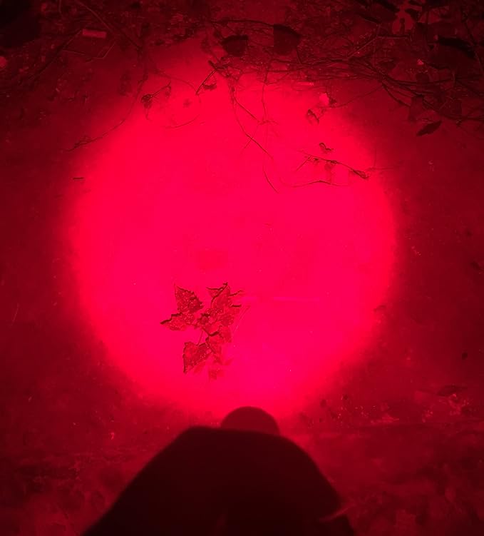 Single Mode Red LED Flashlight, Mini Red Flashlight LED, High Power LED 1 Mode Red Light Flashlight Red Light Torch for Astronomy, Aviation, Night Observation
