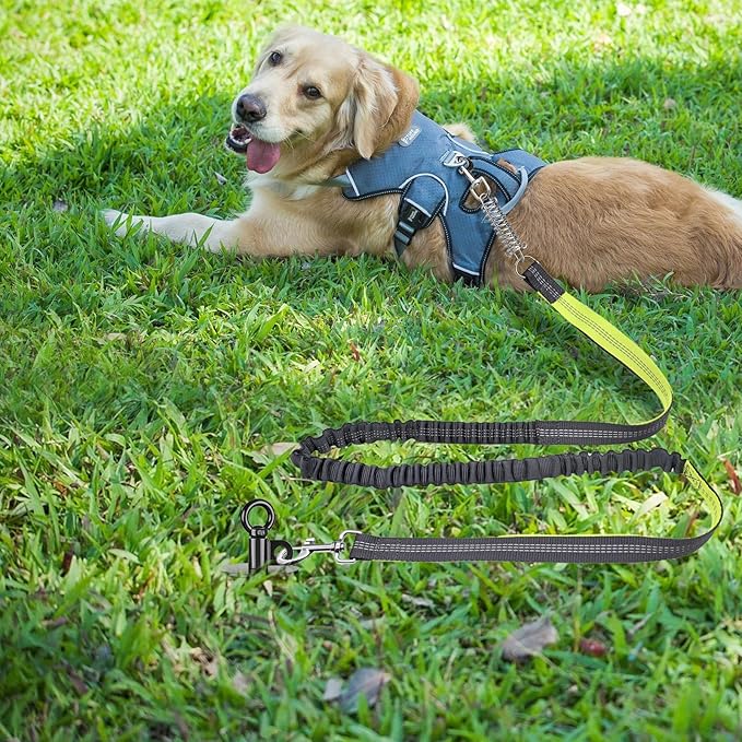 Lifeswel 15 Inch Dog Tie Out Stake, Heavy Duty Dog Anchor for Dogs up to 220lbs, No Tangle, Easy to Install and Remove, Ideal for Yard, Camping, and Beach, 1 Pack (Black)