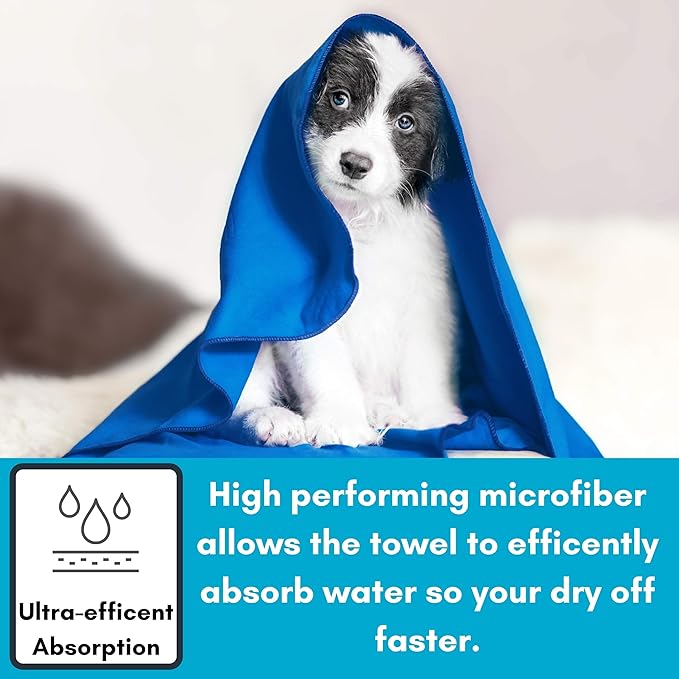 BIRDROCK HOME Multi-Purpose Microfiber Towel for The Beach, Travel, Pets or Camping - Large 31 x 63” - Blue - Quick-Dry - Absorbent Lightweight Compact - Bag - Kids Hiking Outdoor - Corner Pockets