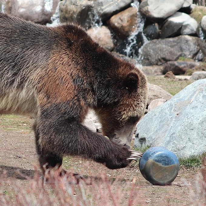 Bear Canister for Backpacking. 4 Sizes: BV500, BV475, BV450, BV425. Bear Resistant Food Container for Camping, Hiking, Fishing, Canoeing, Hunting, bikepacking. Bear Vault is Bear Safe!