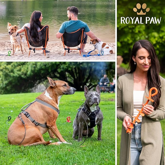 Dog Tie Out Stake - Heavy Duty Dog Stake for Large Dogs up to 210 lbs, Dog Stakes for Outside, Dog Anchor, and Dog Gadget | Use Any Dog Tie Out Cable or Dog Yard Leash (O2-Orange (2-Pack))
