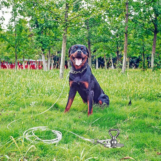 SELEWARE Dog Tie Out Stake Outdoor Anti-Rust Ground Anchor for Large Dogs up to 220 lbs, Free Swivel Dog Stake Dog Camping Gear Twist Rod Included Silver
