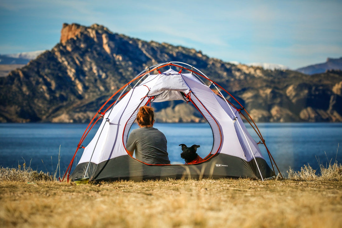 How to Choose the Right Tent for Your Camping Style: Family, Solo, or Survival