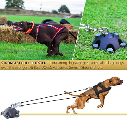 360° Swivel Dog Tie Out Anchor Stake With 5 Screw Anchors - Holds 1200lbs, Great for Dogs Up to 150lbs - Yard Leash and Anchor With Lifetime Replacement