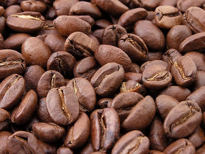 Dr Joe Lab Roasted Coffee Bean Oil - Pure Cold Pressed Non-GMO - 8 oz - For Skin, Hair, Body, Nails, Cuticles, Facial Hair, Eyelashes, Eyebrows Natural Hydrating Moisturizing Antioxidant