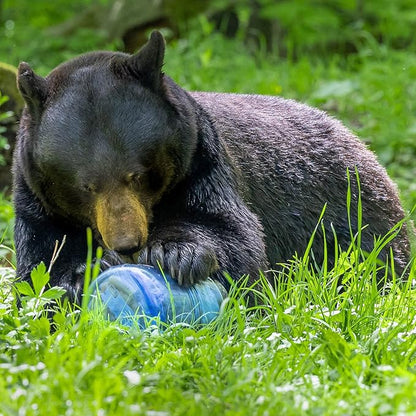Bear Canister for Backpacking. 4 Sizes: BV500, BV475, BV450, BV425. Bear Resistant Food Container for Camping, Hiking, Fishing, Canoeing, Hunting, bikepacking. Bear Vault is Bear Safe!
