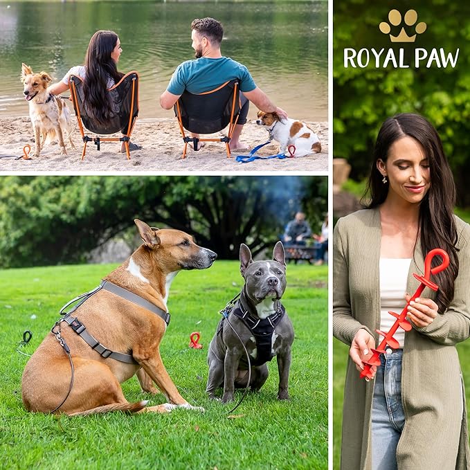 Dog Tie Out Stake - Heavy Duty Dog Stake for Large Dogs up to 210 lbs, Dog Stakes for Outside, Dog Anchor, and Dog Gadget | Use Any Dog Tie Out Cable or Dog Yard Leash (R1-Crimson Red)